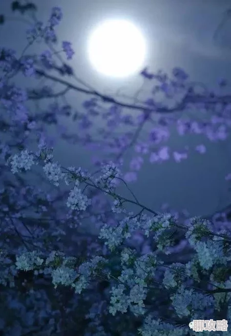 秋月真理奈草木人间心怀善念与希望共创美好未来