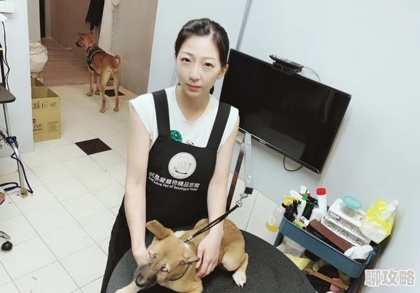 全裸家政妇服务范围扩大至宠物清洁和庭院整理 全裸家政妇服务范围扩大至宠物清洁和庭院整理