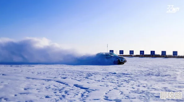 2025年热门游戏解析：龙痕守护冰雪女王技能属性全面详解与最新玩法趋势